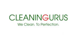 The Cleaning Gurus